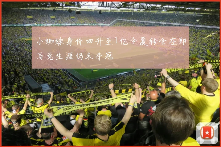 小蜘蛛身价回升至1亿今夏转会在即马竞生涯仍未夺冠