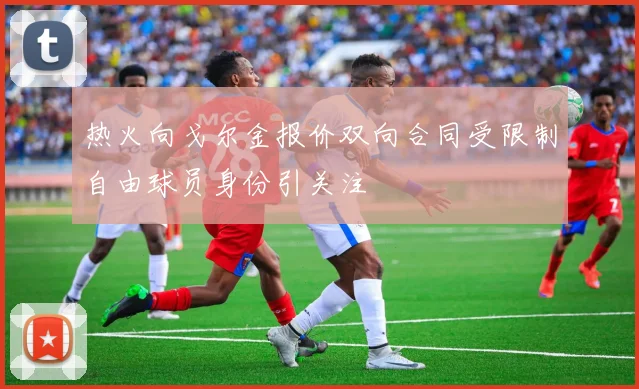 热火向戈尔金报价双向合同受限制自由球员身份引关注