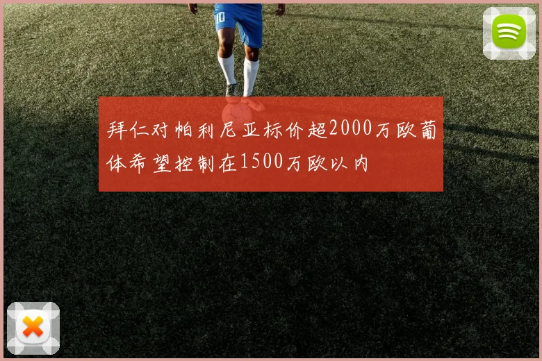 拜仁对帕利尼亚标价超2000万欧葡体希望控制在1500万欧以内